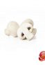 champignons